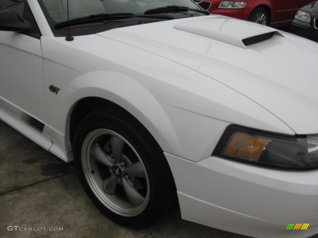 2001 Mustang GT Convertible - Oxford White / Medium Parchment photo #44