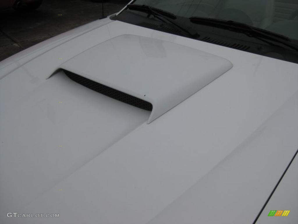 2001 Mustang GT Convertible - Oxford White / Medium Parchment photo #59
