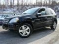 Black - ML 350 4Matic Photo No. 1