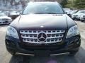 Black - ML 350 4Matic Photo No. 2