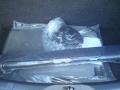 Magnetic Gray - Sentra 2.0 Photo No. 13