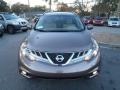 Tinted Bronze - Murano SV Photo No. 2