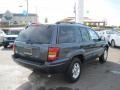 2004 Steel Blue Pearl Jeep Grand Cherokee Laredo  photo #5