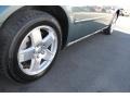Magnesium Pearl - Magnum R/T AWD Photo No. 31