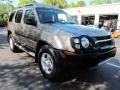 Granite Metallic - Xterra XE Photo No. 1