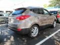 2010 Chai Bronze Hyundai Tucson Limited  photo #2