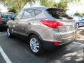 2010 Chai Bronze Hyundai Tucson Limited  photo #3