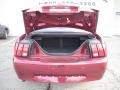2004 40th Anniversary Crimson Red Metallic Ford Mustang V6 Coupe  photo #9