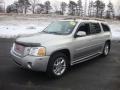 Liquid Silver Metallic 2006 GMC Envoy XL Denali 4x4 Exterior