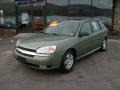 2005 Silver Green Metallic Chevrolet Malibu Maxx LT Wagon  photo #1