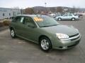 2005 Silver Green Metallic Chevrolet Malibu Maxx LT Wagon  photo #3