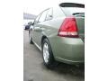 2005 Silver Green Metallic Chevrolet Malibu Maxx LT Wagon  photo #12