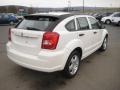 Stone White - Caliber SXT Photo No. 10