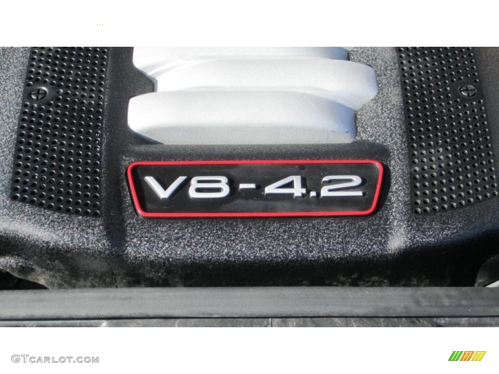 2002 Audi S6 4.2 quattro Avant 4.2 Liter DOHC 40-Valve VVT V8 Engine Photo #43778868