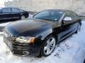 Brilliant Black - S5 4.2 quattro Photo No. 1