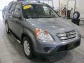 Pewter Pearl - CR-V SE 4WD Photo No. 1