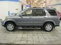 Pewter Pearl - CR-V SE 4WD Photo No. 4