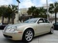 2006 Winter Gold Metallic Jaguar S-Type 4.2  photo #3