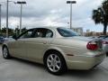 2006 Winter Gold Metallic Jaguar S-Type 4.2  photo #5