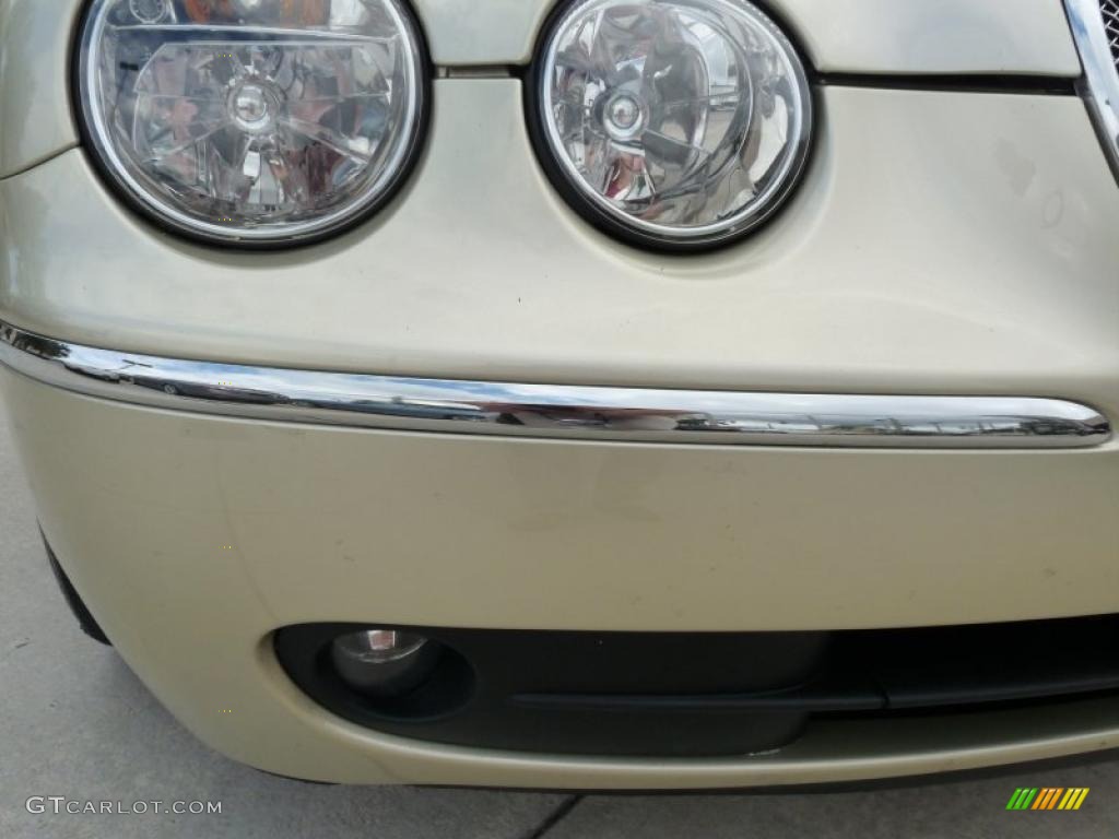 2006 S-Type 4.2 - Winter Gold Metallic / Champagne photo #11