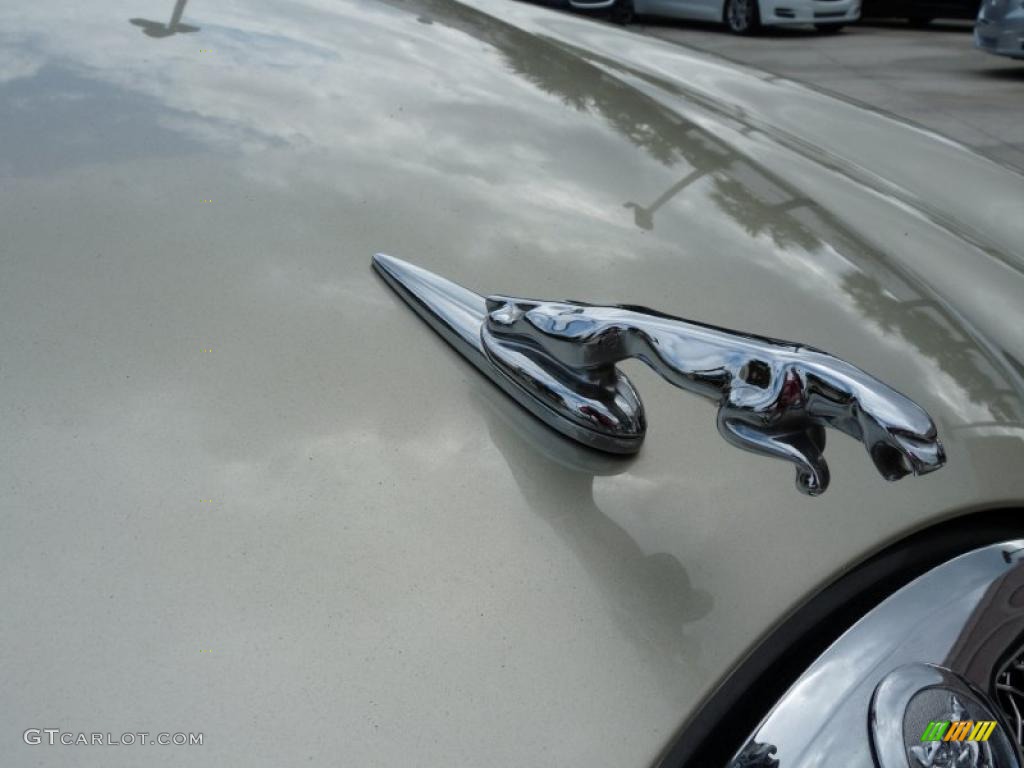 2006 Jaguar S-Type 4.2 Marks and Logos Photo #43788406