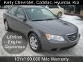 Willow Gray - Sonata GLS Photo No. 1
