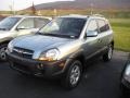 Alpine Frost 2009 Hyundai Tucson SE V6 4WD