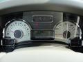 Camel Gauges Photo for 2011 Ford Expedition #43805929