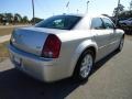 Bright Silver Metallic - 300 Touring Photo No. 12