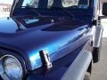 2003 Patriot Blue Jeep Wrangler X 4x4  photo #17