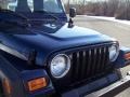 2003 Patriot Blue Jeep Wrangler X 4x4  photo #19