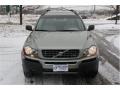 Willow Green Metallic - XC90 V8 AWD Photo No. 8