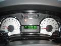 Charcoal Black Gauges Photo for 2011 Ford Expedition #43828009