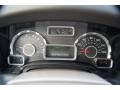 Camel Gauges Photo for 2010 Ford Expedition #43832157