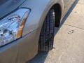 Pebble Beach Metallic - Maxima 3.5 SE Photo No. 2