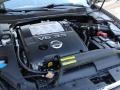 Pebble Beach Metallic - Maxima 3.5 SE Photo No. 29