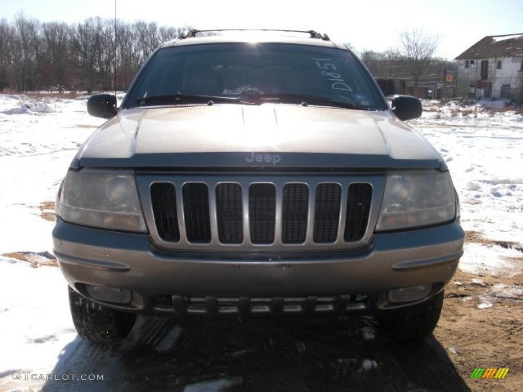 1999 Grand Cherokee Limited 4x4 - Bright Platinum Metallic / Agate photo #2