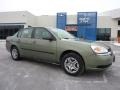 2005 Silver Green Metallic Chevrolet Malibu Sedan  photo #1