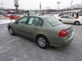 2005 Silver Green Metallic Chevrolet Malibu Sedan  photo #5