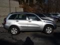 Titanium Metallic - RAV4  Photo No. 10