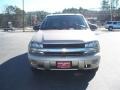 2007 Sandstone Metallic Chevrolet TrailBlazer LS 4x4  photo #3