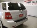 Bright Silver - Sorento LX Photo No. 8