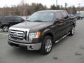 2009 Stone Green Metallic Ford F150 XLT SuperCrew  photo #1