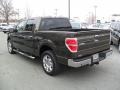 2009 Stone Green Metallic Ford F150 XLT SuperCrew  photo #2