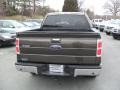 Stone Green Metallic - F150 XLT SuperCrew Photo No. 3