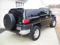 Black Diamond - FJ Cruiser 4WD Photo No. 5