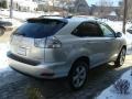 Millennium Silver Metallic - RX 350 AWD Photo No. 4