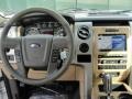 Pale Adobe Dashboard Photo for 2011 Ford F150 #43885485