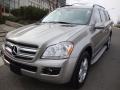 2008 Pewter Metallic Mercedes-Benz GL 450 4Matic  photo #1