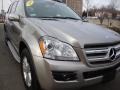 2008 Pewter Metallic Mercedes-Benz GL 450 4Matic  photo #7